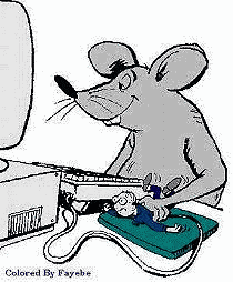 mouse